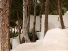 Venture Espagne 7
